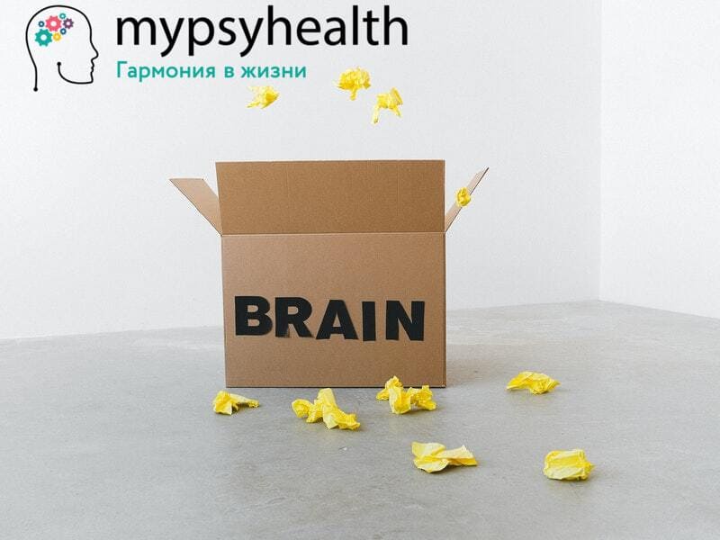 На пищеварение влияет кишечный мозг на пищеварение влияет кишечный мозг